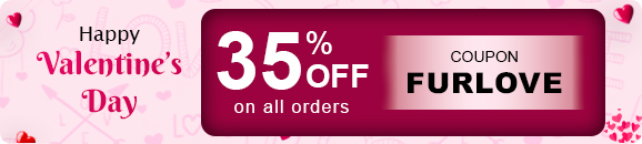 Valentine's Day Sale