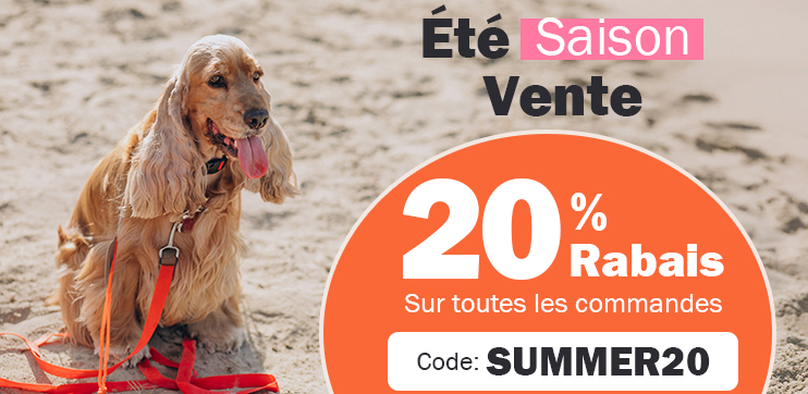 Sonderangebot-Banner